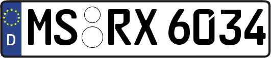 MS-RX6034