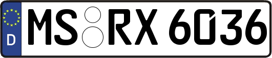 MS-RX6036