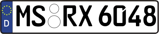MS-RX6048