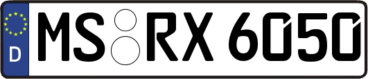 MS-RX6050