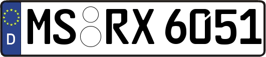 MS-RX6051