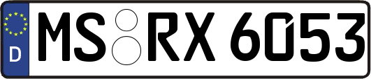 MS-RX6053