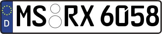 MS-RX6058