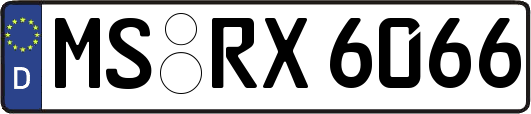 MS-RX6066