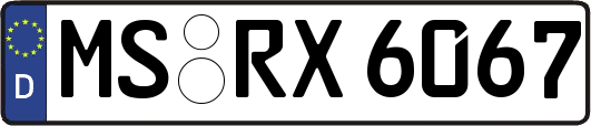 MS-RX6067