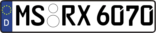 MS-RX6070