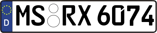 MS-RX6074