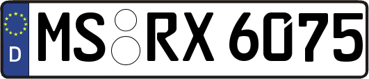 MS-RX6075