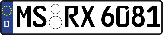 MS-RX6081