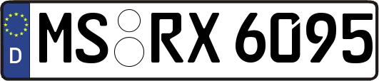 MS-RX6095