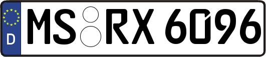MS-RX6096