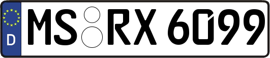 MS-RX6099