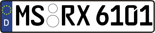 MS-RX6101