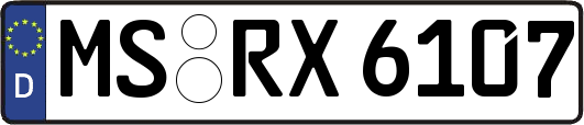 MS-RX6107