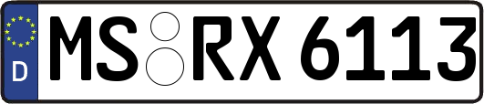 MS-RX6113