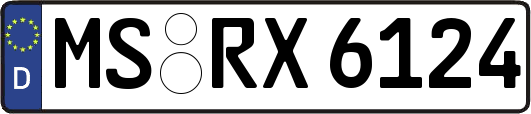 MS-RX6124