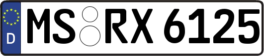 MS-RX6125