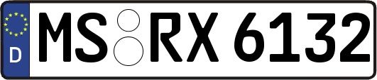 MS-RX6132