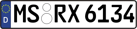 MS-RX6134