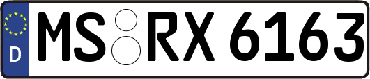 MS-RX6163