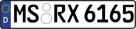 MS-RX6165