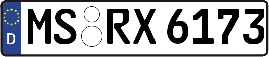 MS-RX6173