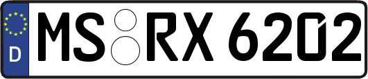 MS-RX6202