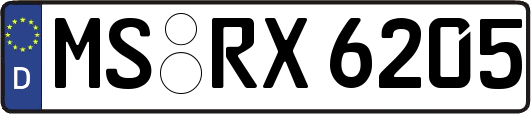 MS-RX6205
