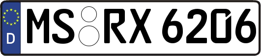 MS-RX6206