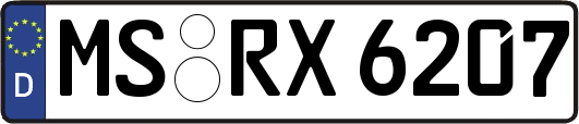 MS-RX6207