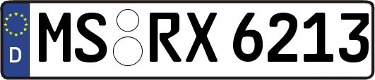 MS-RX6213