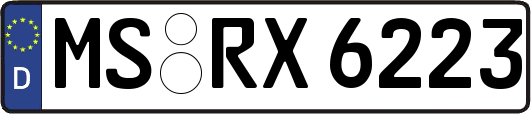 MS-RX6223