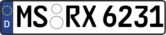 MS-RX6231