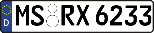 MS-RX6233