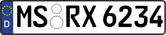 MS-RX6234