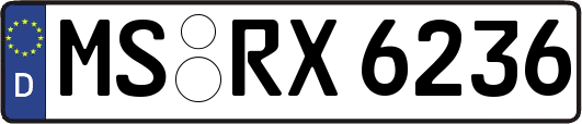 MS-RX6236