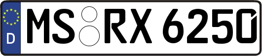 MS-RX6250