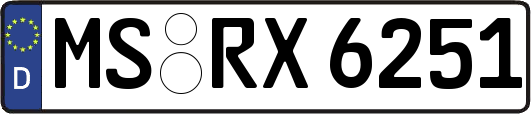 MS-RX6251