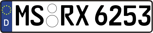 MS-RX6253