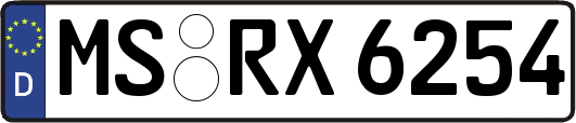 MS-RX6254