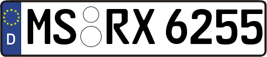 MS-RX6255