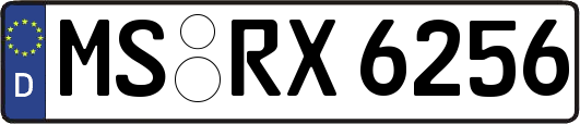 MS-RX6256