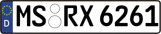 MS-RX6261