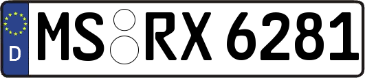 MS-RX6281