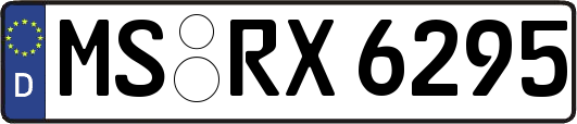 MS-RX6295