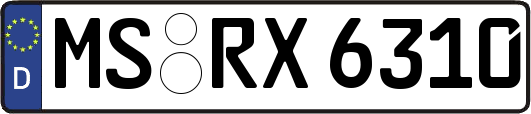 MS-RX6310
