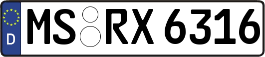 MS-RX6316
