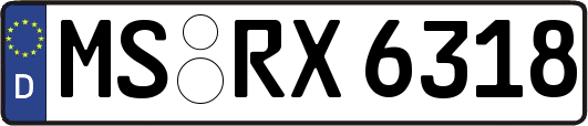 MS-RX6318