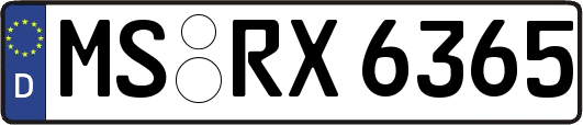 MS-RX6365