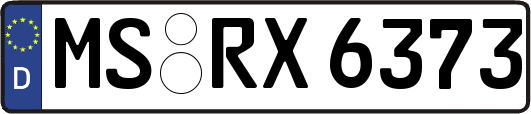 MS-RX6373